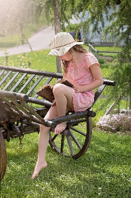 Nature grass book read Photo