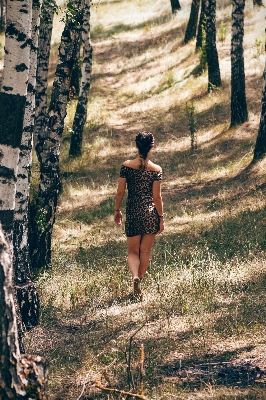 Tree forest outdoor walking Photo