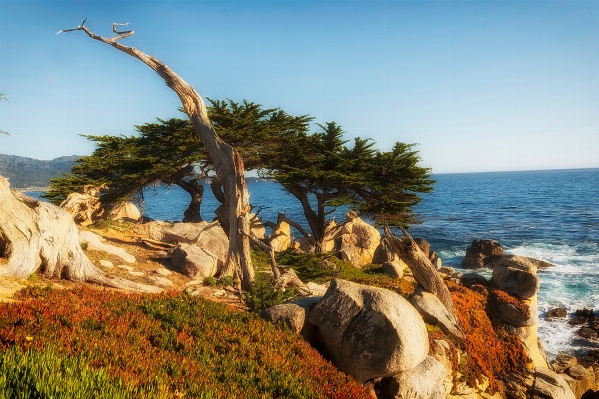 Beach landscape sea coast Photo