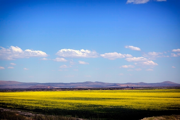 Landscape nature grass horizon Photo