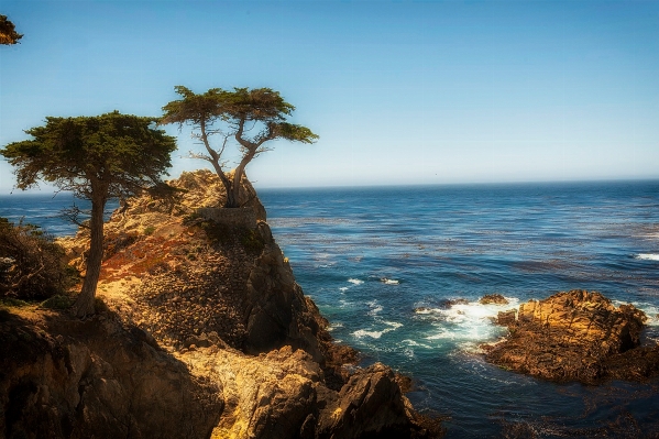 Beach landscape sea coast Photo