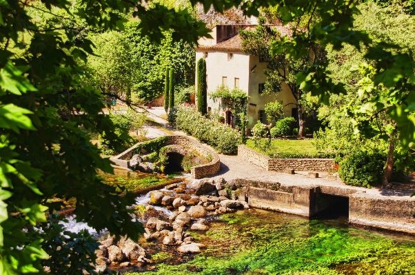 Nature bridge lawn flower Photo