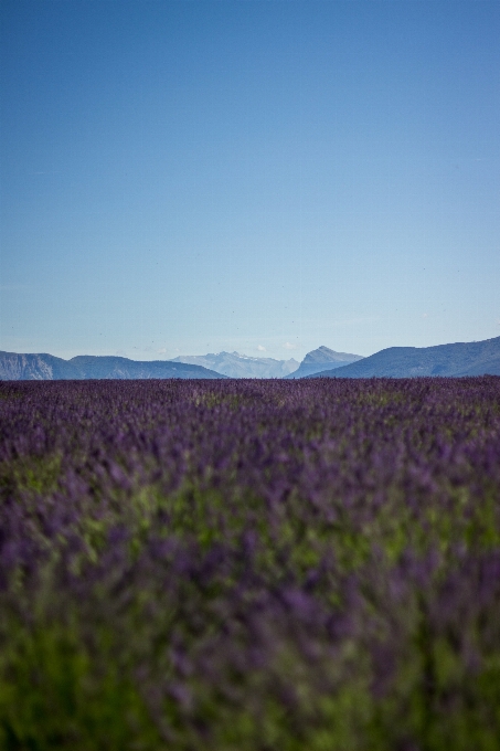 Landscape nature horizon mountain