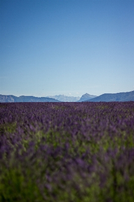 Landscape nature horizon mountain Photo