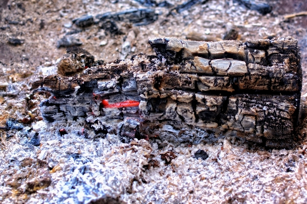 Rock wood track fire Photo