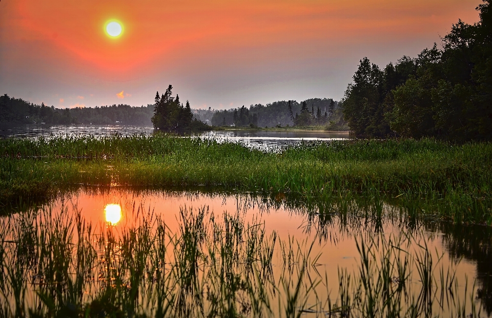 Paesaggio natura palude
 selvaggia
