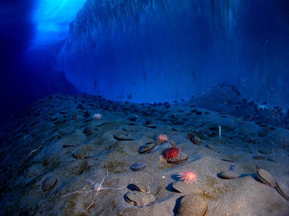 Mar água oceano frio