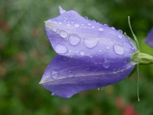 Wasser natur tau anlage Foto