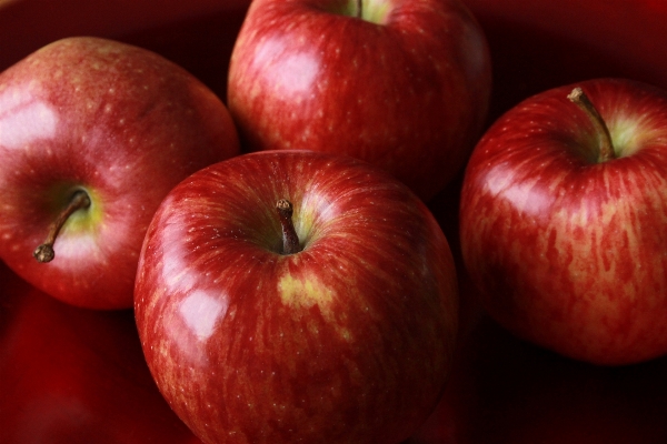 Apple anlage frucht essen Foto