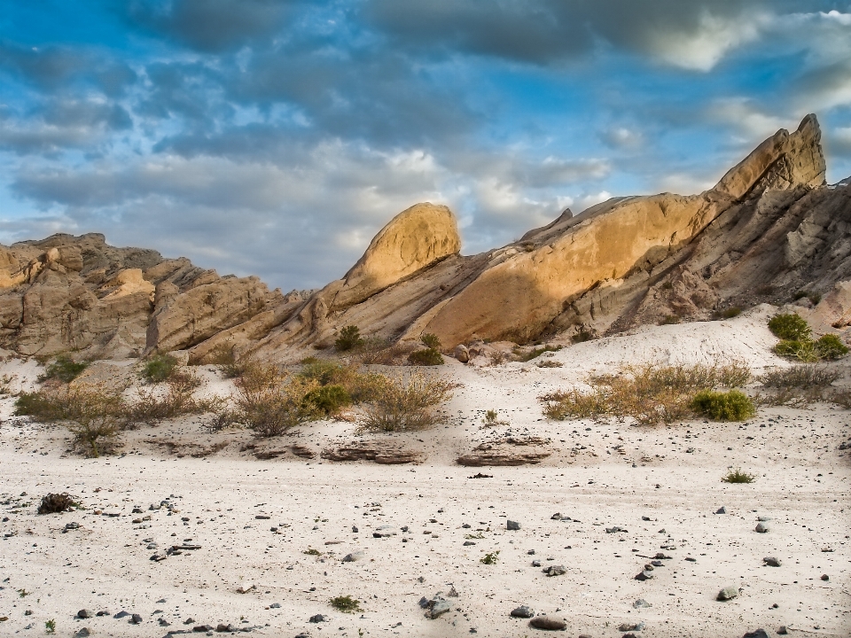 Landscape sea nature sand