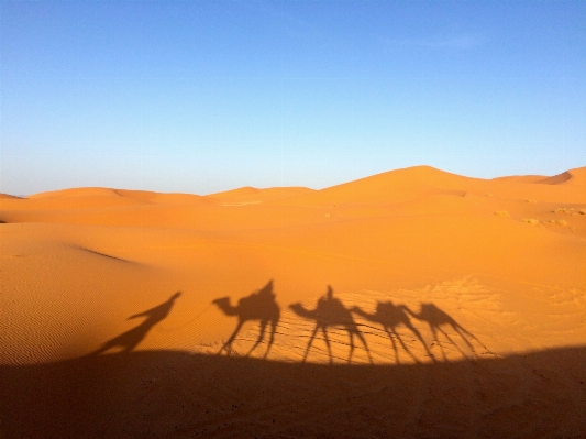 Landscape nature sand desert Photo