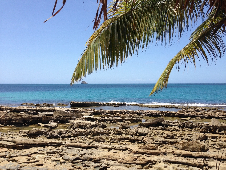 Beach landscape sea coast