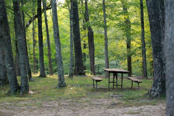 Table landscape tree nature Photo