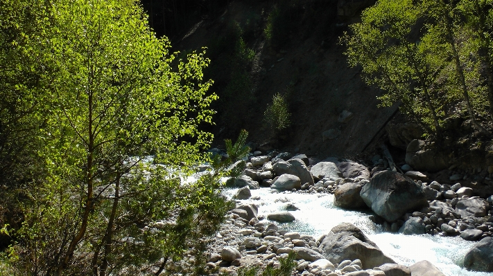 Landscape tree water nature Photo