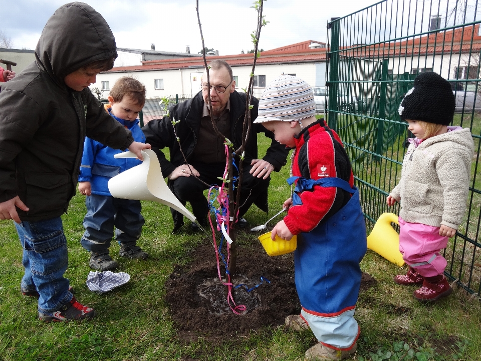 Community children team playground