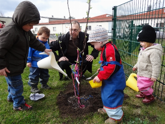 Community children team playground Photo