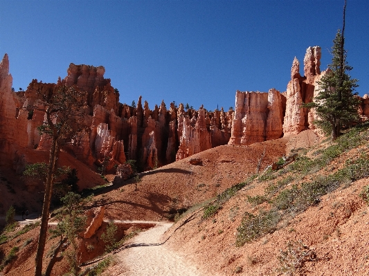 Tree rock valley stone Photo