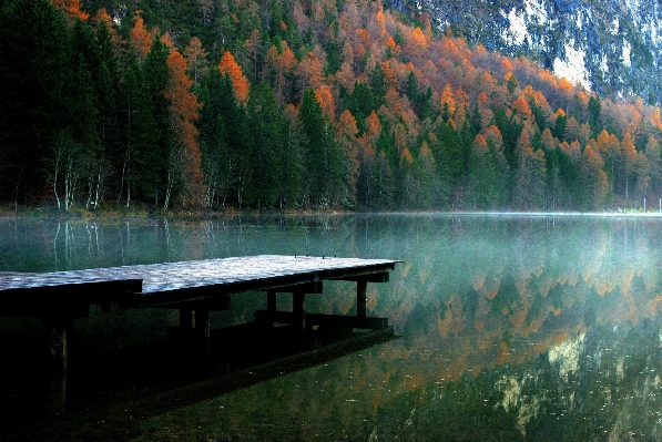 Фото пейзаж дерево вода природа