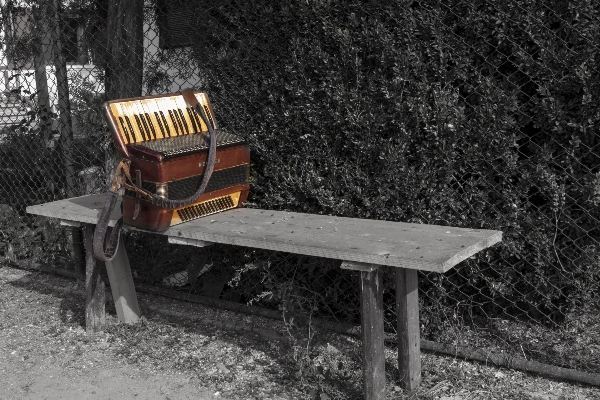 Music wood alone vehicle Photo