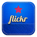 Flickr Icon