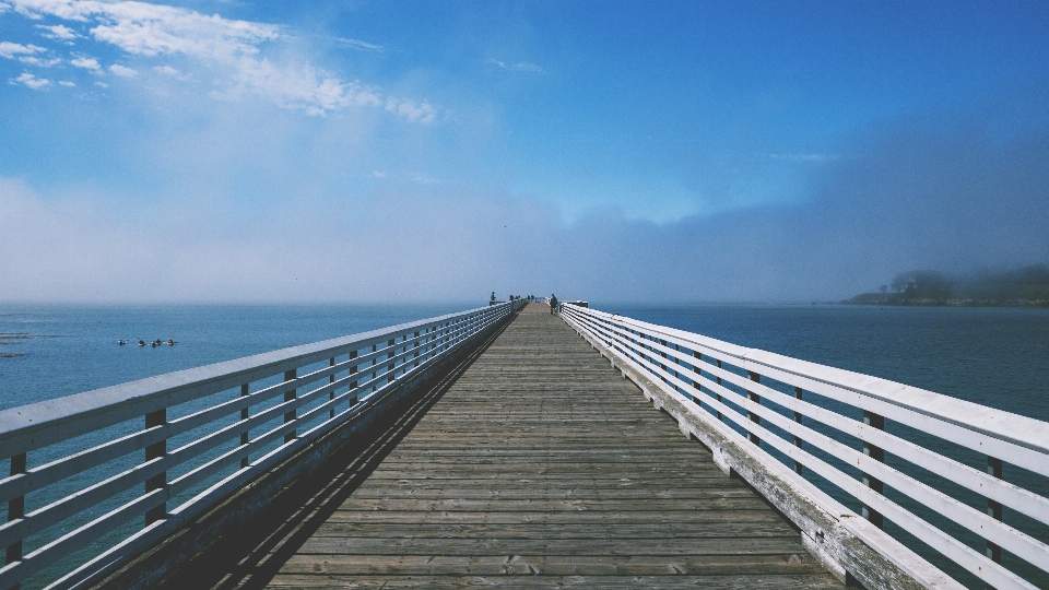 Mar costa água oceano