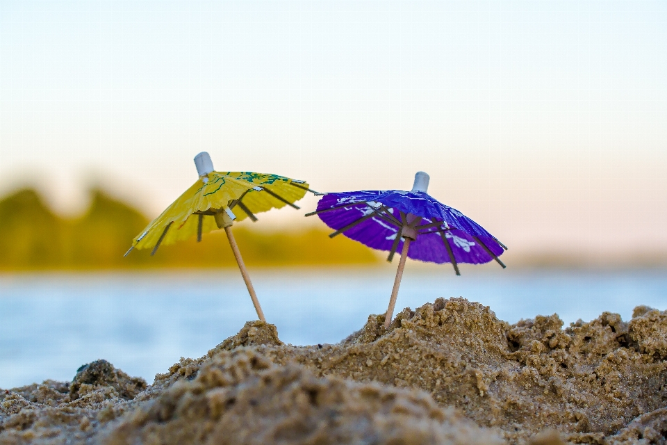 Spiaggia mare acqua natura