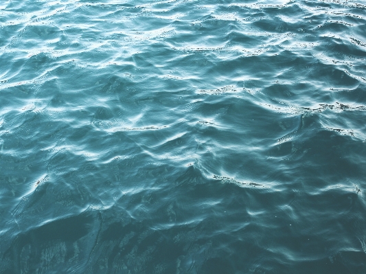 海 水 自然 海洋 写真