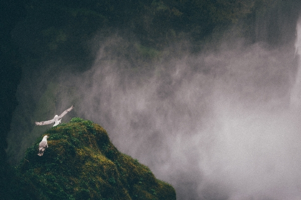 海 海岸 自然 rock 写真