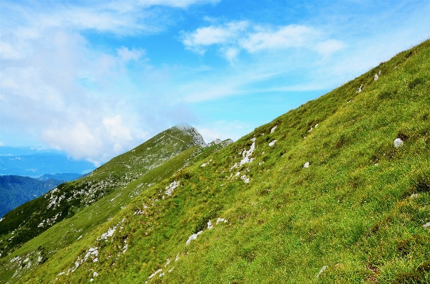 Landscape nature grass wilderness Photo