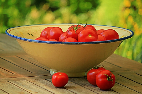 Plant fruit flower dish Photo