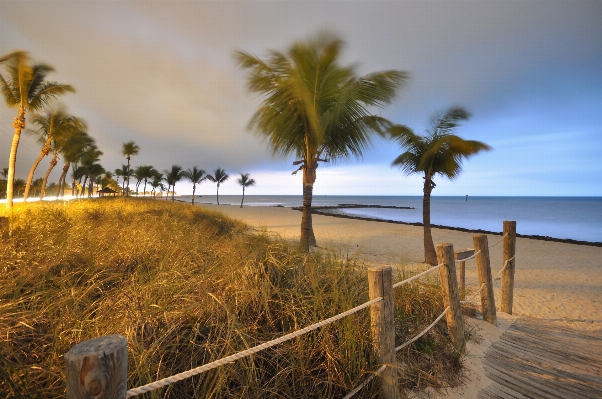 Beach landscape sea coast Photo