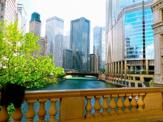 Bridge city river cityscape Photo