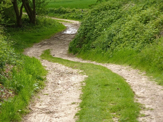 Grass road trail field Photo