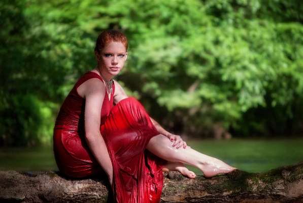 Tree water outdoor girl Photo