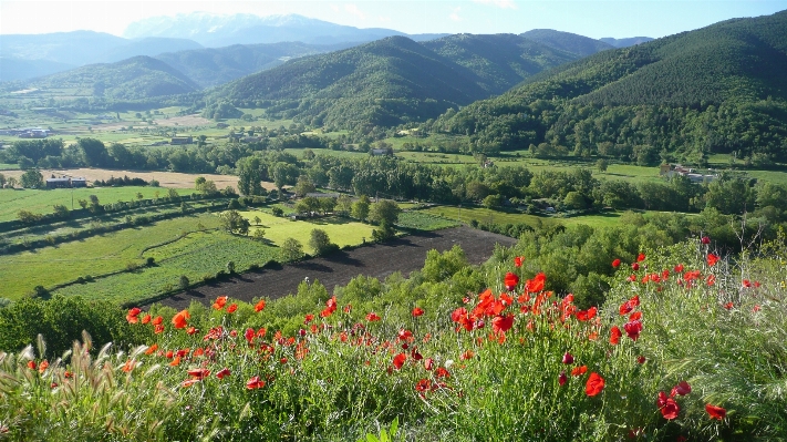 Landschaft berg feld wiese
 Foto