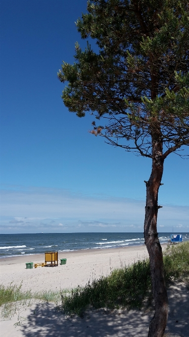 Plaża krajobraz morze wybrzeże