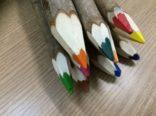 Hand pencil wing wood Photo