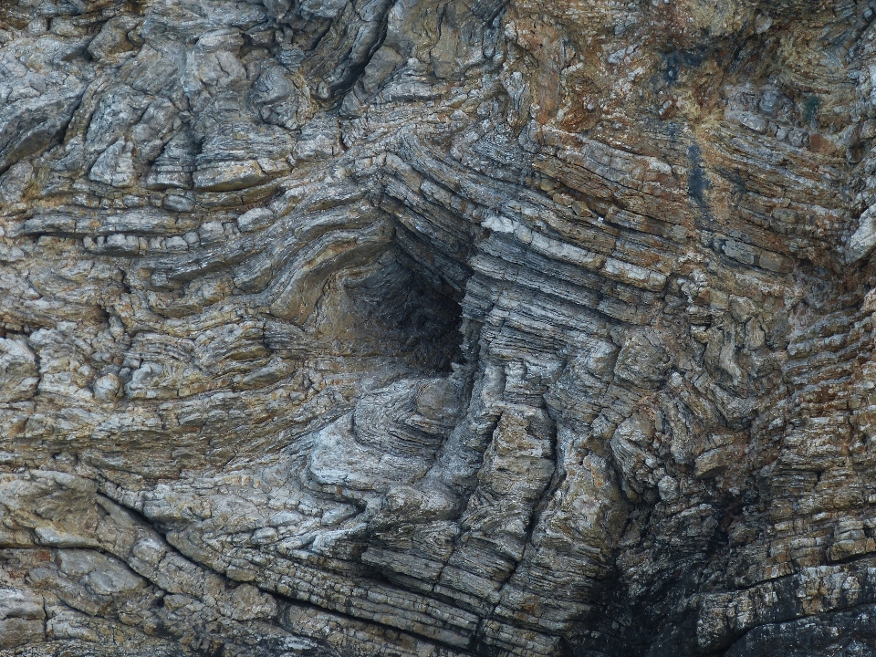 Landscape tree nature rock