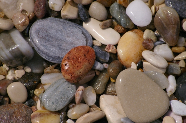 Beach sea coast water Photo