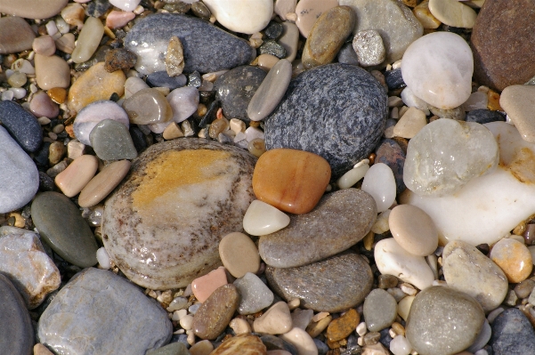 Beach sea coast water Photo