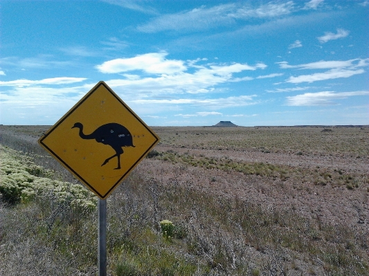 Prairie desert wind sign Photo