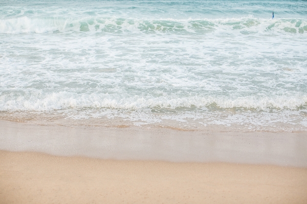 Beach sea coast sand Photo