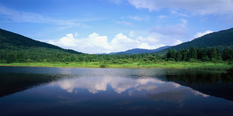 Landscape water nature forest Photo