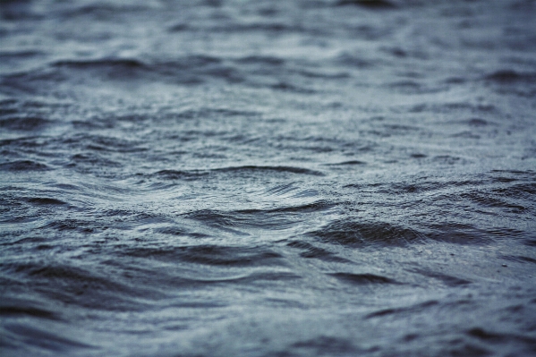 Meer küste wasser natur Foto