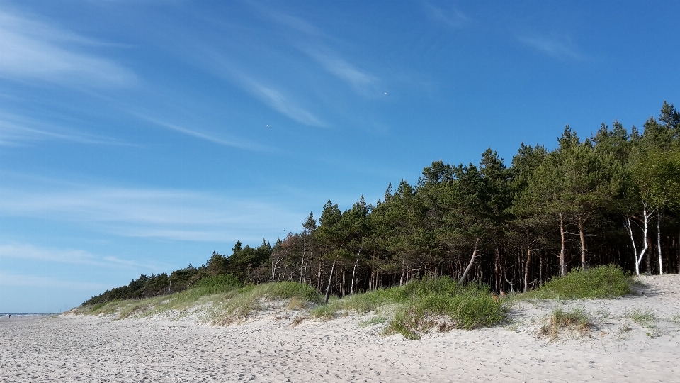 Strand landschaft meer küste