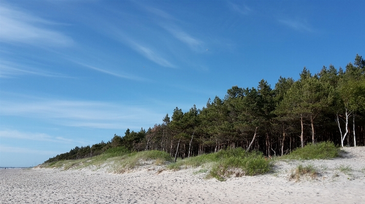 Beach landscape sea coast Photo