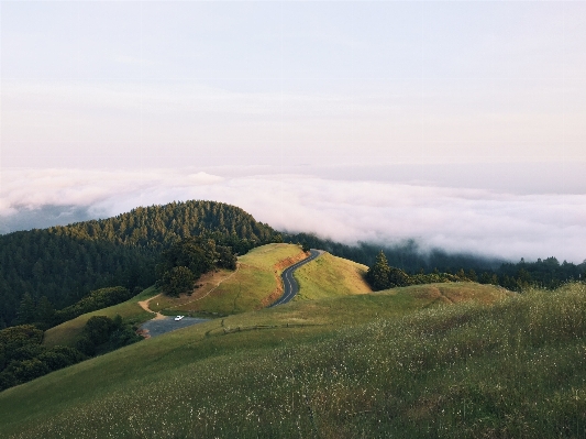 Landscape nature grass horizon Photo