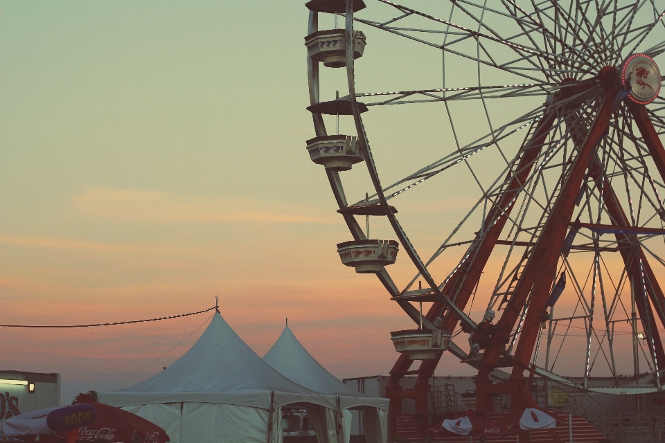 Nature people sunset summer