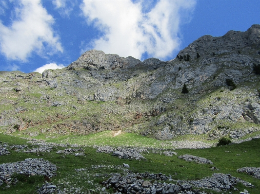 Foto Paesaggio natura selvaggia
 a piedi