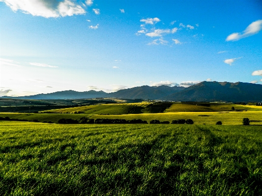 Landscape nature grass horizon Photo